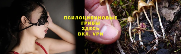 герыч Бронницы