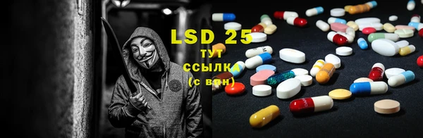 прущие крисы Бородино