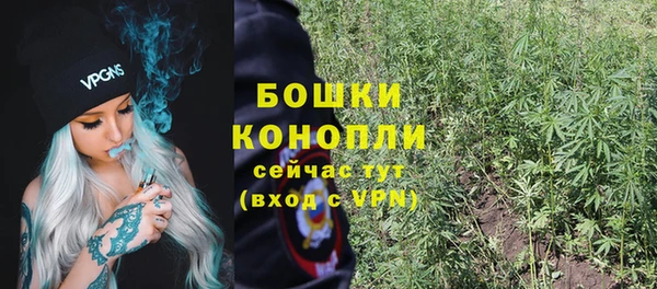 прущие крисы Бородино