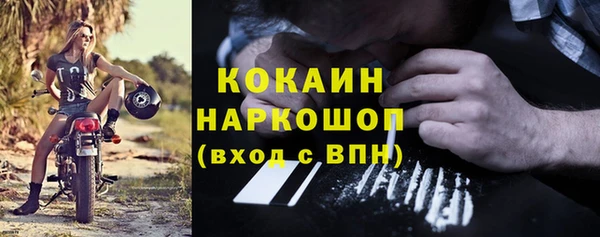 прущие крисы Бородино